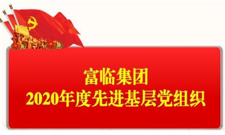 008PG国际集团2020年度党内先进典范展示
