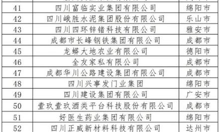 四川民营企业100强榜单出炉！008PG国际位列第41位！