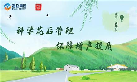 第四次手艺帮扶——008PG国际集团开展“万企兴万村”纪实